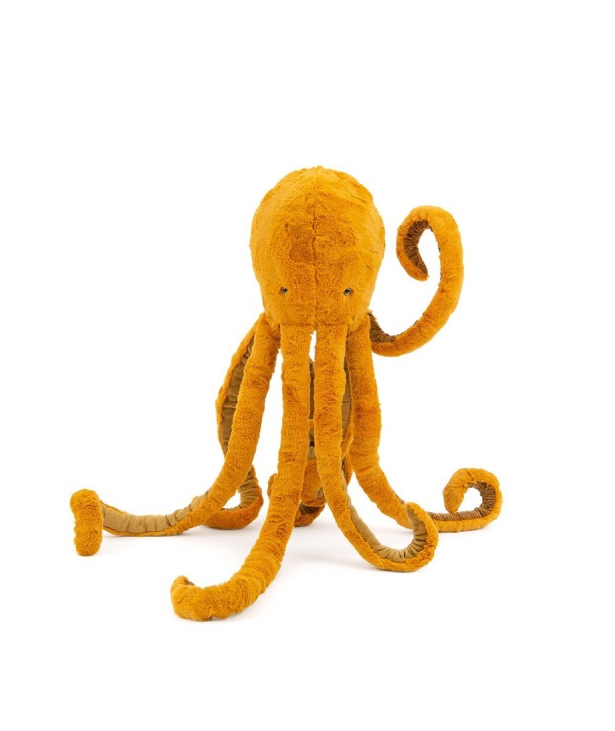 El Significado Del N mero 69 En El Nombre Del pulpo Desc brelo El Significado Del N mero 69 En El Nombre Del pulpo Desc brelo